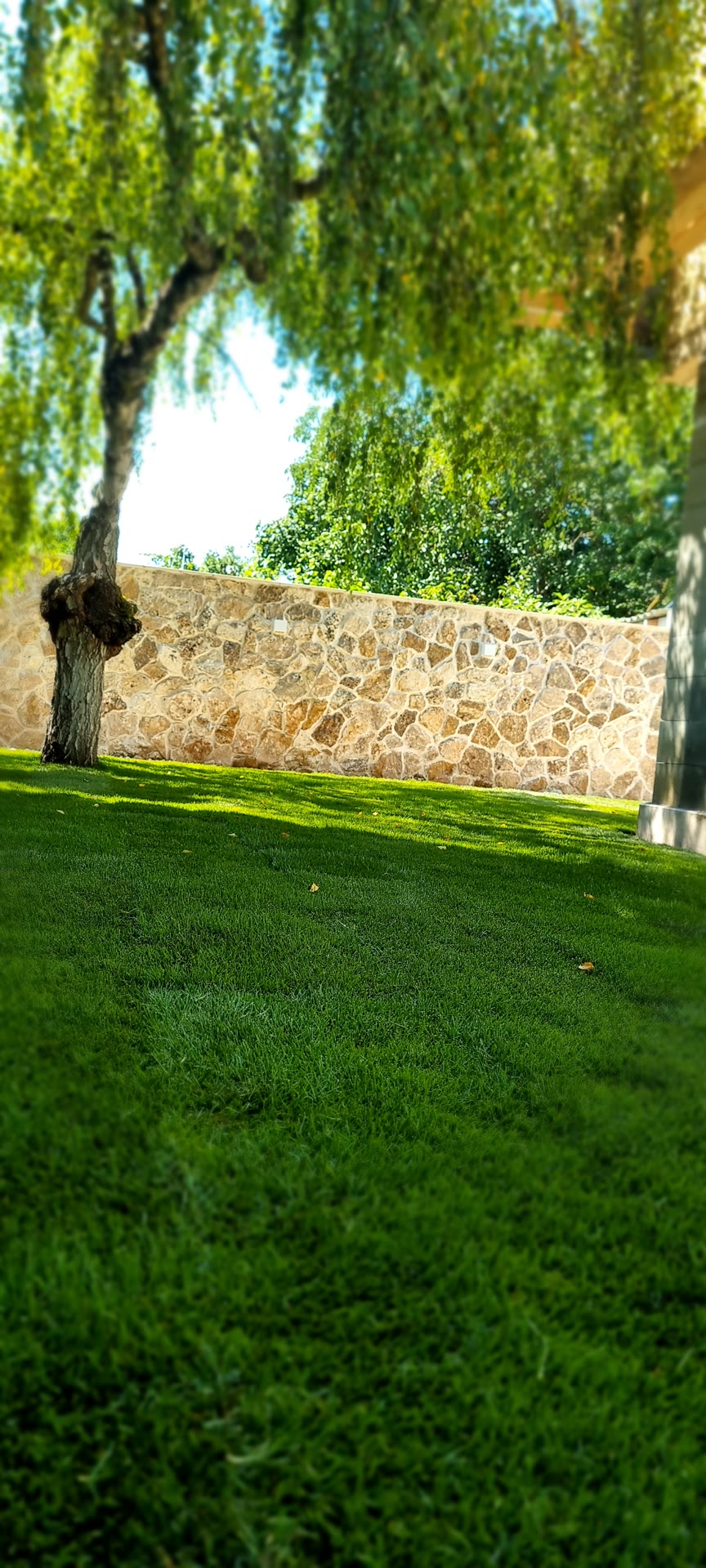 BELLITA galéria 10